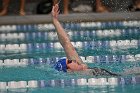 Swim vs Bentley  Wheaton College Swimming & Diving vs Bentley University. - Photo by Keith Nordstrom : Wheaton, Swimming & Diving